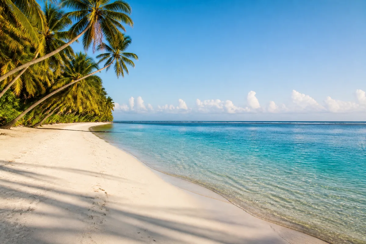 Plage de sable blanc et cocotiers de la côte swahilie dans la lumière du matin