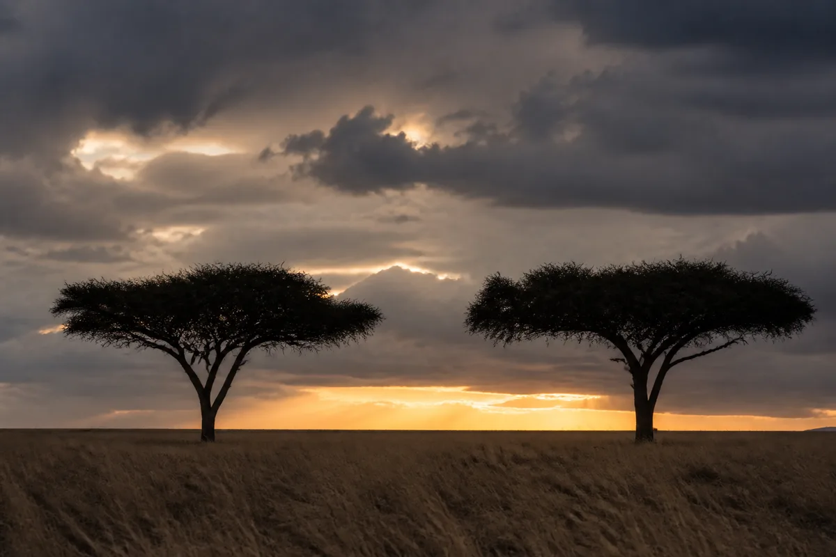Climat du Kenya : saisons et fenêtres de déplacement