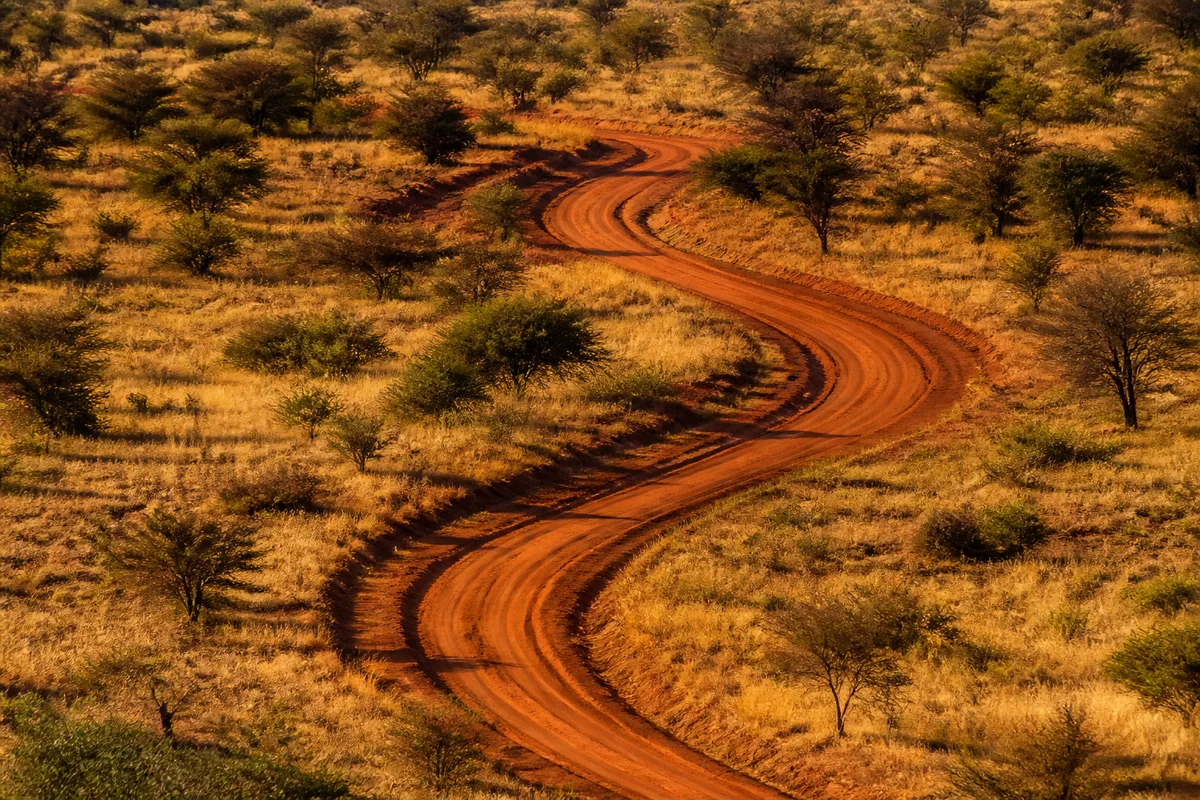Piste de terre rouge serpentant à travers la savane kenyane vue depuis une hauteur au lever du jour