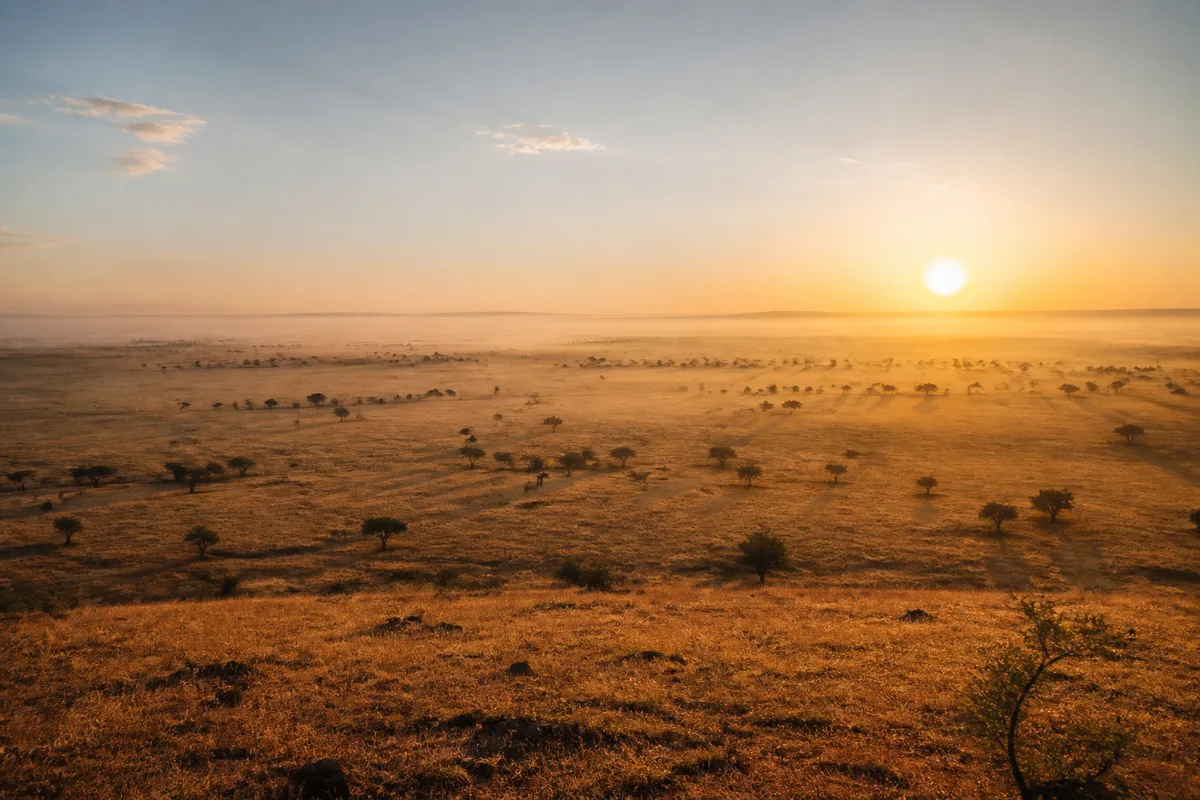 Safari au Kenya : prolonger un déplacement pro